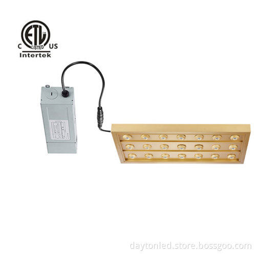 SZDAYTON Lighting Coral Series 40W/60W LED Spotlight with 5 Years Warranty and ETL Listing